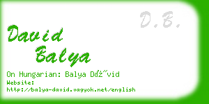 david balya business card